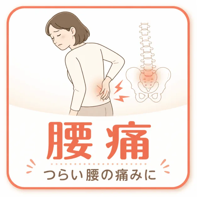 腰の痛み｜新潟中央区骨盤整骨院 新潟市中央区