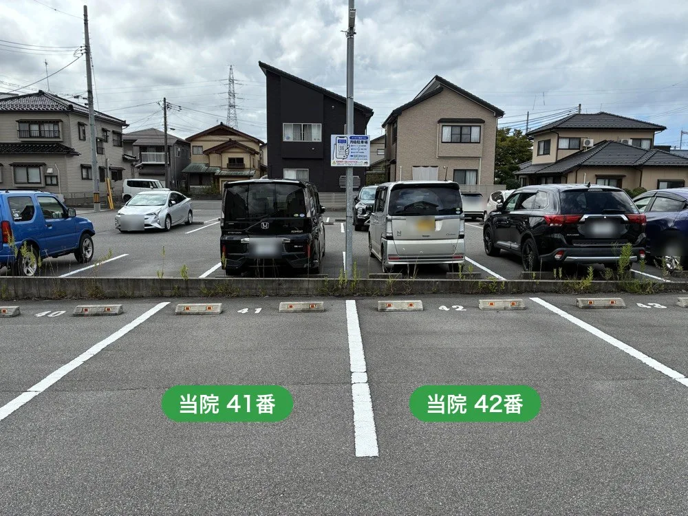 向かい側の駐車場 41番・42番